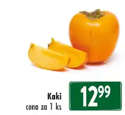 Astur&Qanto Kaki nabídka