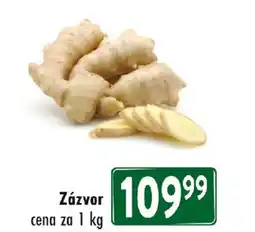 Astur&Qanto Zázvor nabídka