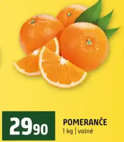 Terno Pomerance nabídka