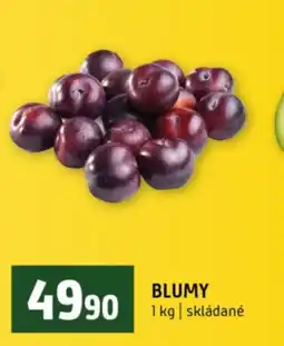 Terno Blumy nabídka