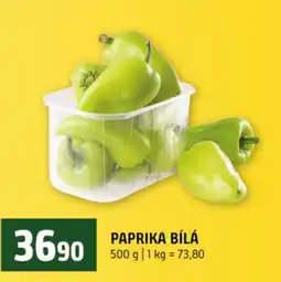 Terno Paprika bílá nabídka