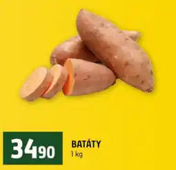 Terno Batáty nabídka