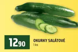 Terno Okurky salátové nabídka