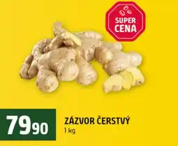 Terno Zázvor čerstvý nabídka