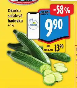 Albert Okurka salátová hadovka nabídka