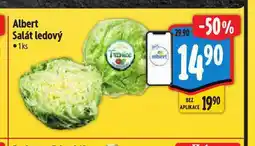 Albert Salát ledový nabídka