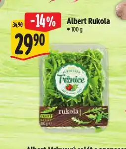Albert Rukola nabídka