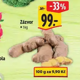 Albert Zázvor nabídka