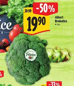Albert Brokolice nabídka