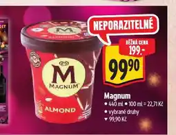 Albert Zmrzlina magnum nabídka