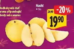 Albert Nashi nabídka