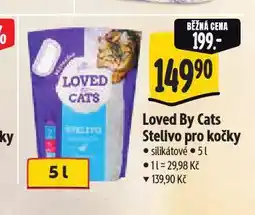 Albert Stelivo pro kočky nabídka