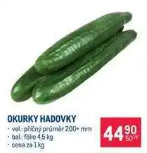 Makro Okurky hadovky nabídka