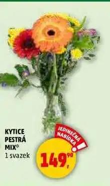 Penny Market KYTICE PESTRÁ MIX, 1 svazek nabídka