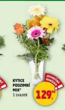 Penny Market KYTICE PODZIMNÍ MIX, 1 svazek nabídka