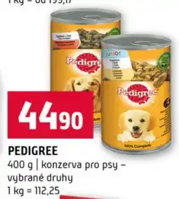 Terno Pedigree nabídka