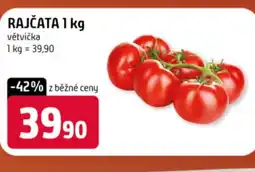 Terno Rajčata nabídka