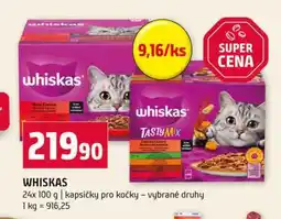 Terno WHISKAS 24x 100 g kapsičky pro kočky vybrané druhy nabídka
