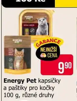 Teta Energy Pet kapsičky a paštiky pro kočky 100 g, různé druhy nabídka