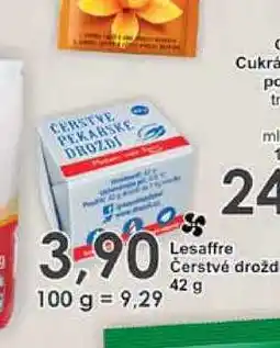 Jip Lesaffre Čerstvé droždí 42 g nabídka