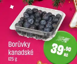 BonVeno Borůvky kanadské nabídka