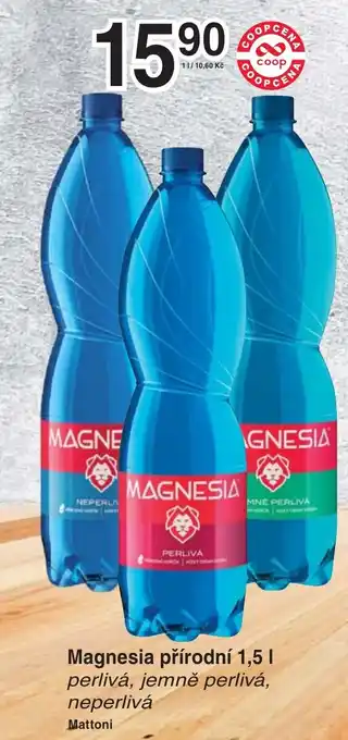 MAGNESIA přírodní