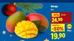 Lidl Mango nabídka