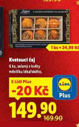 Lidl Kvetoucí čaj nabídka