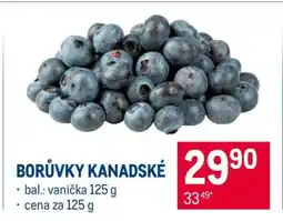 Makro Borůvky kanadské nabídka