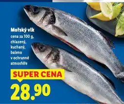 Lidl Mořský vlk nabídka
