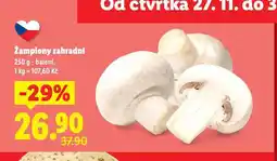 Lidl Žampiony zahradní nabídka
