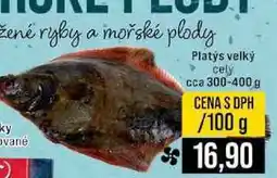 Jip Platys velký cely cca 300-400 g nabídka