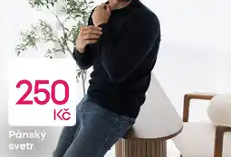 Pepco Pánský svetr nabídka