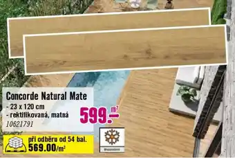 Hornbach Concorde natural mate nabídka