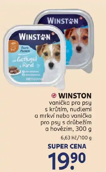 Rossmann Winston nabídka