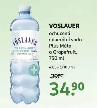 Rossmann Voslauer nabídka