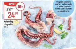 Globus Kalamáry chapadla nabídka