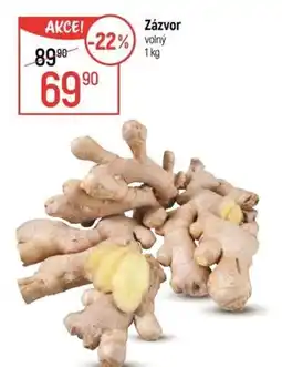 Globus Zázvor nabídka