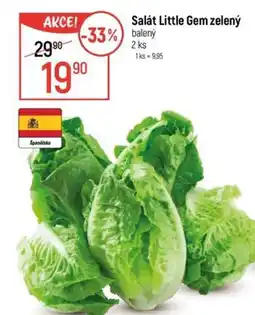 Globus Salát Little Gem zelený nabídka