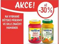 Globus Na vybrané dětské příkrmy ve skle značky Hamánek nabídka