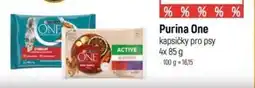 Globus Purina One kapsičky pro psy nabídka