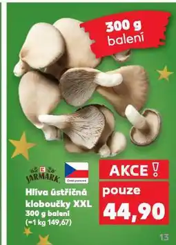 Kaufland Hlíva ústřičná nabídka