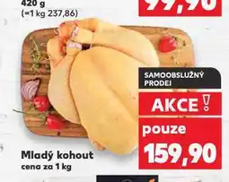 Kaufland Mladý kohout nabídka