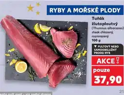 Kaufland Tuňák žlutoploutvý nabídka