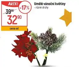 Globus Umělé vánoční květiny nabídka