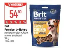 Globus Brit Premium by Nature pamlsky pro psy s kuřecím masem a malinami nabídka
