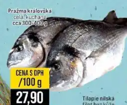 Jip Pražma královská nabídka