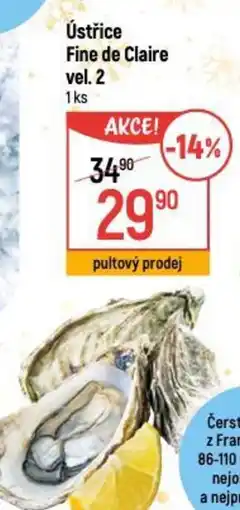 Globus Ústřice Fine de Claire vel. 2 nabídka