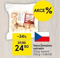 Tesco Tesco Žampiony zahradní nabídka