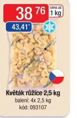 Qanto Květák růžice nabídka